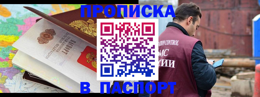 временная регистрация поиск в Щёлково